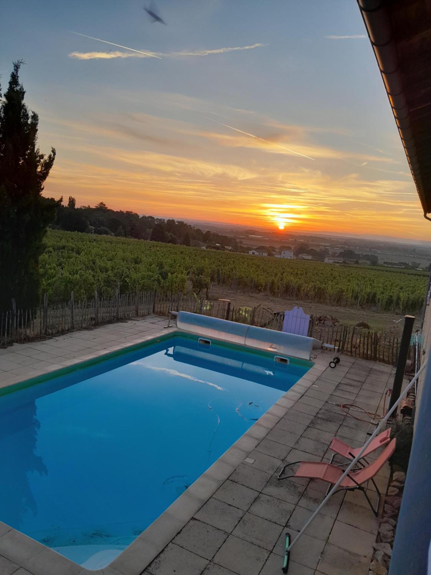 La Cote Des Blancs - Domaine Viticole & Maison D'Hotes Vinzelles المظهر الخارجي الصورة