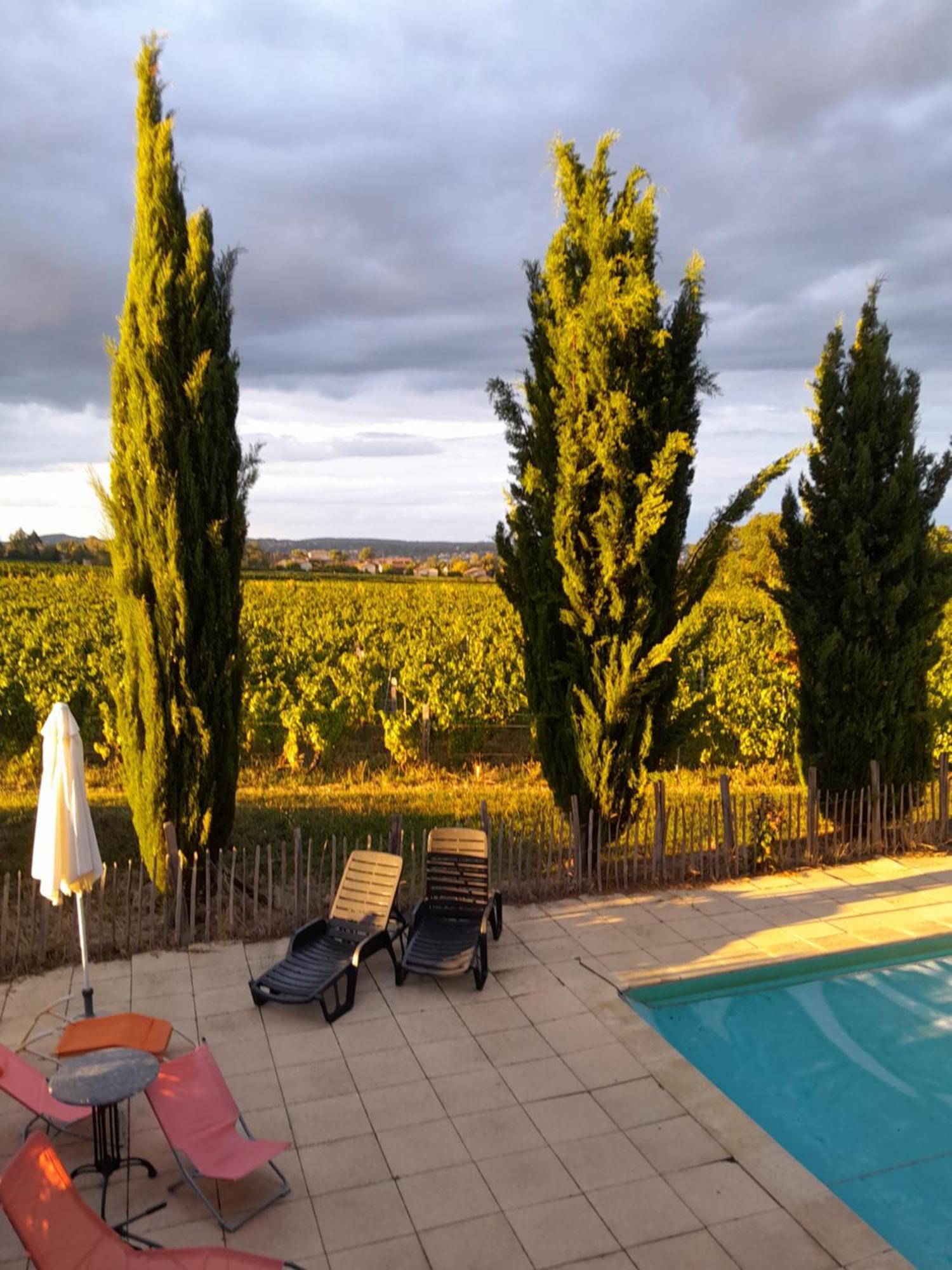 La Cote Des Blancs - Domaine Viticole & Maison D'Hotes Vinzelles المظهر الخارجي الصورة